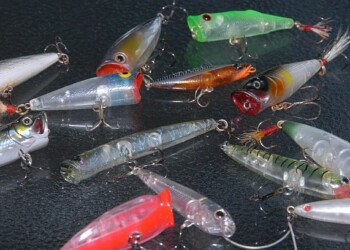 Senator Ron Boswell Pic: Jim Harnwell